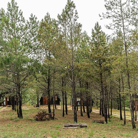 Chales Naturale - Campos Do Jordao - Cna Zewnętrze zdjęcie