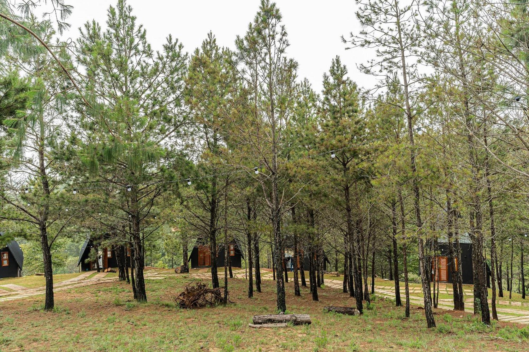 Chales Naturale - Campos Do Jordao - Cna Zewnętrze zdjęcie